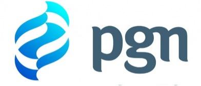 PT PGN (Perusahaan Gas Negara)